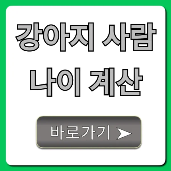 강아지 사람나이 계산, 10초 만에 끝내는 꿀팁!