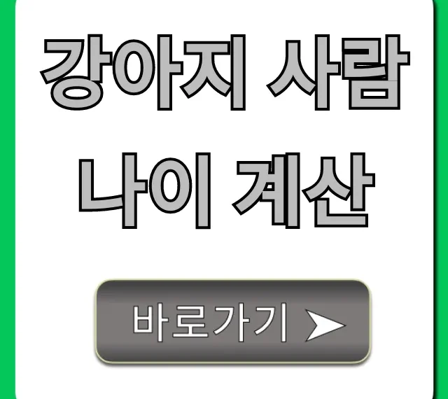 강아지 사람나이 계산, 10초 만에 끝내는 꿀팁!