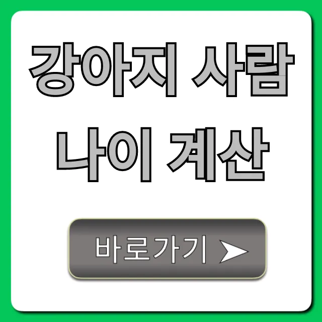 강아지 사람나이 계산, 10초 만에 끝내는 꿀팁!