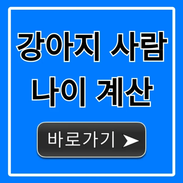 강아지 사람나이 계산, 가장 정확한 방법 총정리