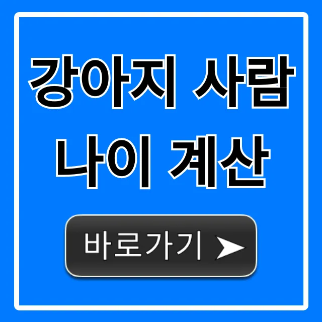 강아지 사람나이 계산, 가장 정확한 방법 총정리