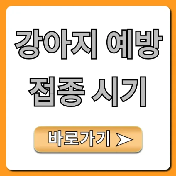 강아지 예방접종 시기: 새끼강아지 완벽 가이드