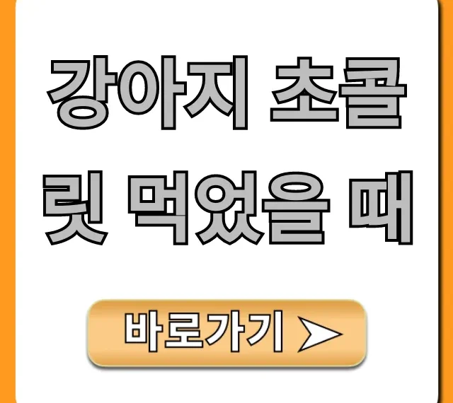 강아지 초콜릿 먹었을 때 증상과 대처법 총정리