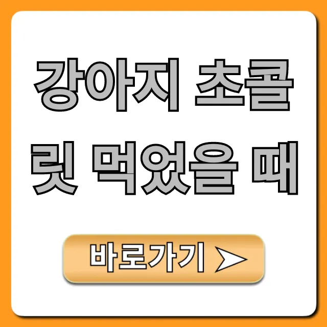강아지 초콜릿 먹었을 때 증상과 대처법 총정리