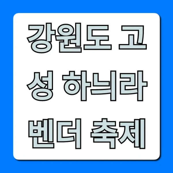 강원도 고성 하늬라벤더 축제 기간 꿀팁 총정리!