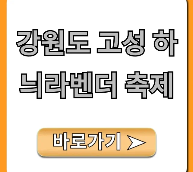 강원도 고성 하늬라벤더 축제: 기간, 입장료 꿀팁 총정리