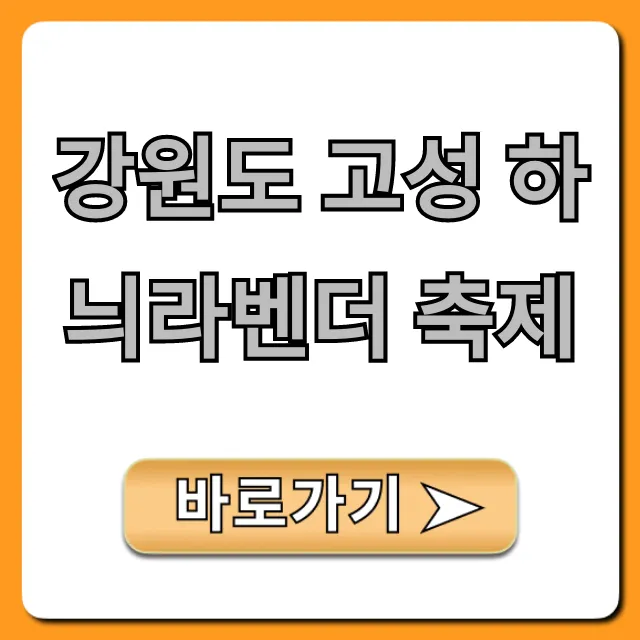 강원도 고성 하늬라벤더 축제: 기간, 입장료 꿀팁 총정리