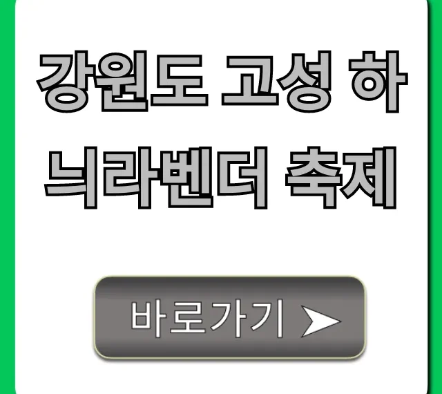 강원도 고성 하늬라벤더 축제 꿀팁 완벽 가이드