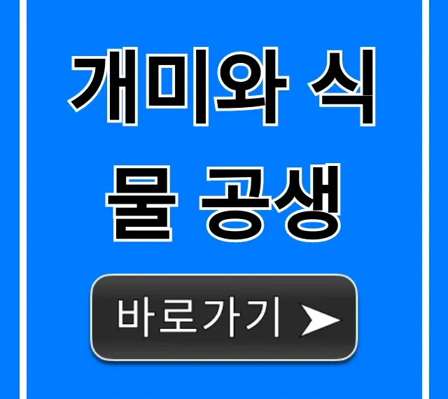 개미와 식물 공생: 놀라운 상생의 비밀 총정리