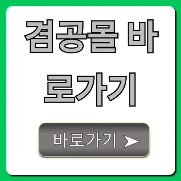 겸공몰 바로가기! 겸임공무원 정보 조회 꿀팁