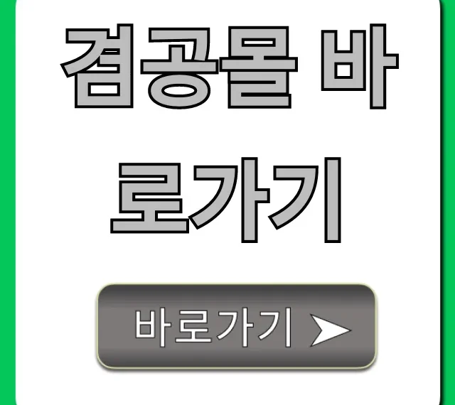 겸공몰 바로가기! 겸임공무원 정보 조회 꿀팁