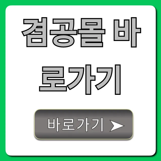 겸공몰 바로가기! 겸임공무원 정보 조회 꿀팁