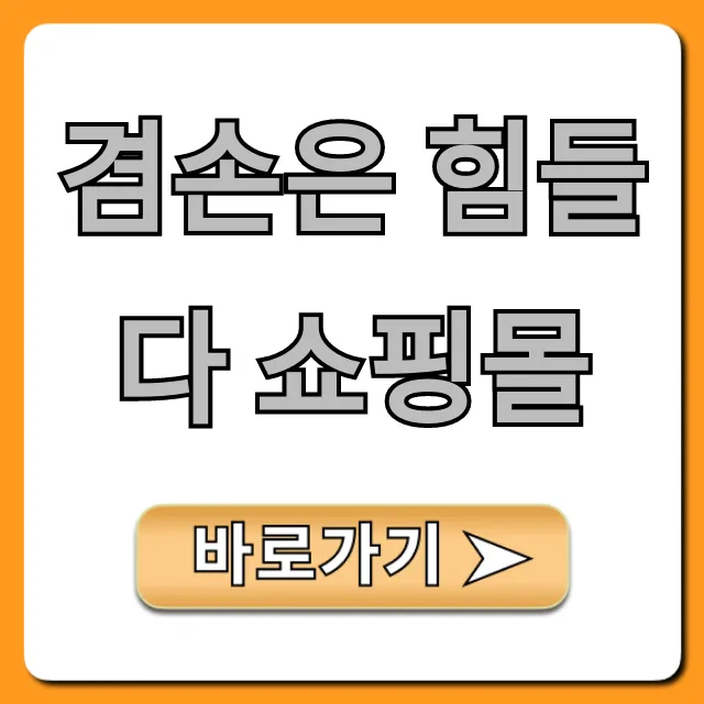 겸손은 힘들다 쇼핑몰, 찐 후기 및 추천템 총정리!