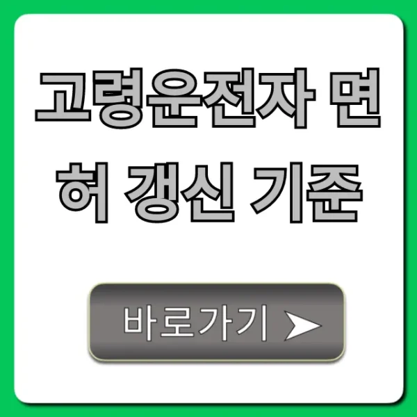 고령운전자 면허 갱신 기준 & 의무교육 완벽 가이드