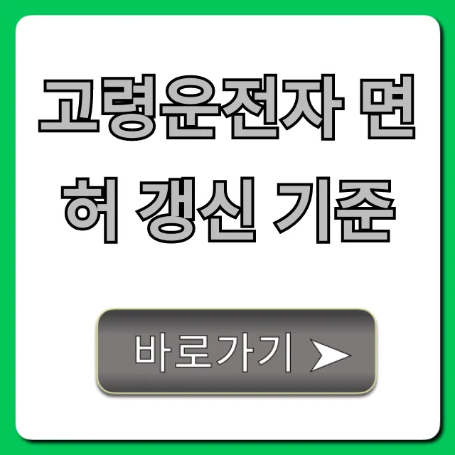 고령운전자 면허 갱신 기준 & 의무교육 완벽 가이드