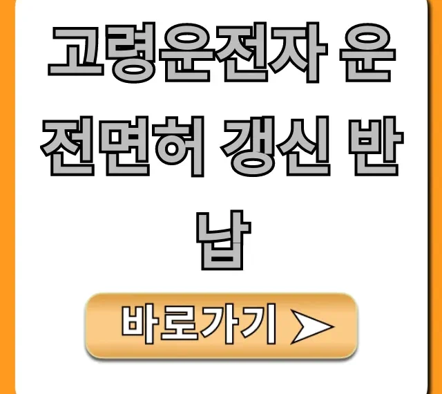 고령운전자 운전면허 갱신 반납: 지원금 혜택 총정리