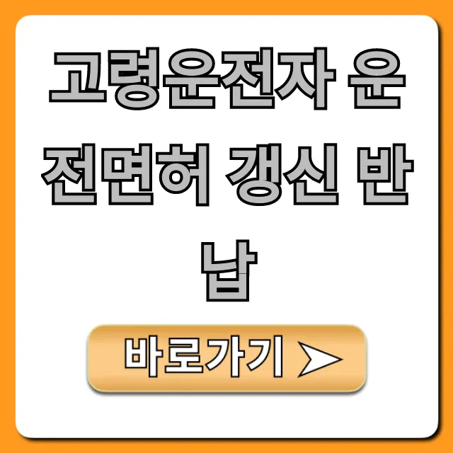 고령운전자 운전면허 갱신 반납 혜택 신청 총정리