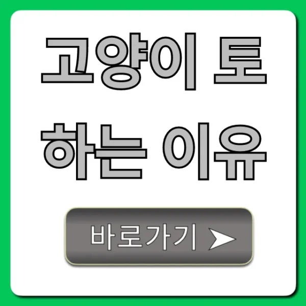 고양이 토하는 이유, 병원 가야 할까? 응급 상황 판단법