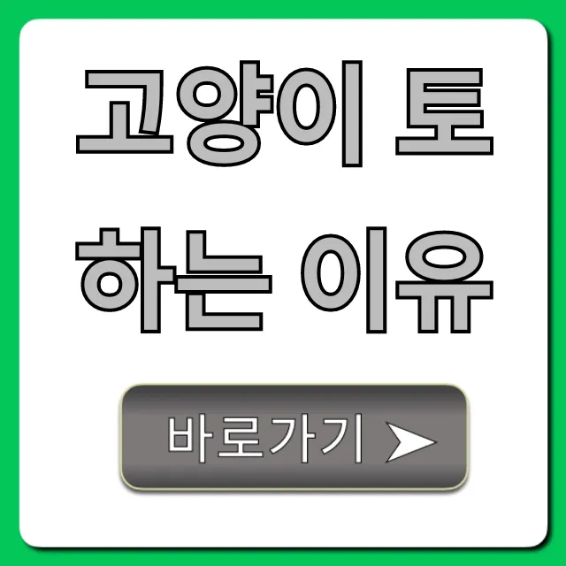 고양이 토하는 이유, 병원 가야 할까? 응급 상황 판단법