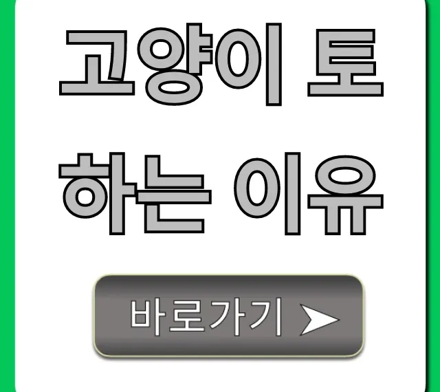 고양이 토하는 이유, 위험 증상과 응급 대처법 총정리