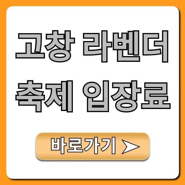 고창 라벤더 축제 입장료 할인 꿀팁