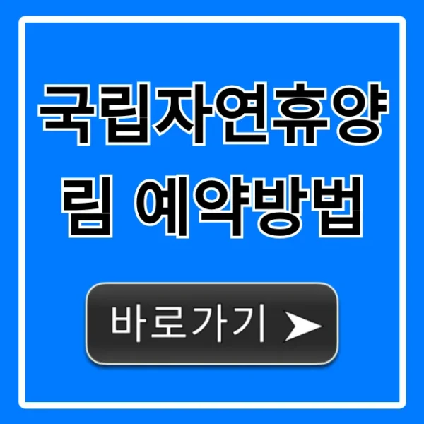 국립자연휴양림 예약방법: 선착순 & 추첨 완벽 가이드
