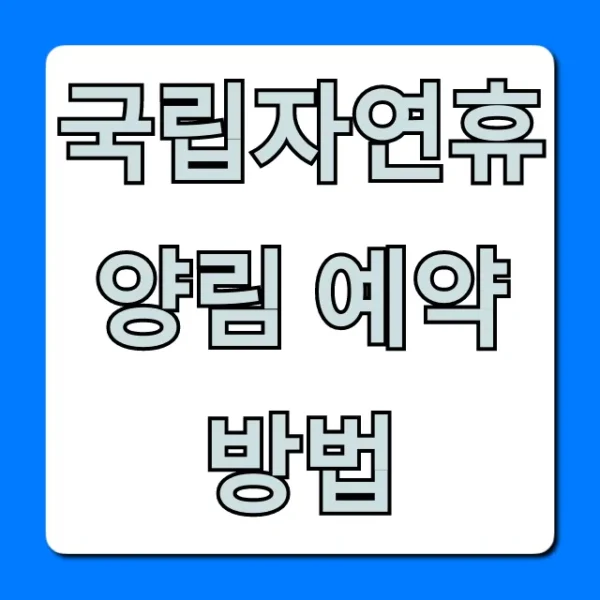 국립자연휴양림 예약방법: 성공률 높이는 꿀팁 총정리