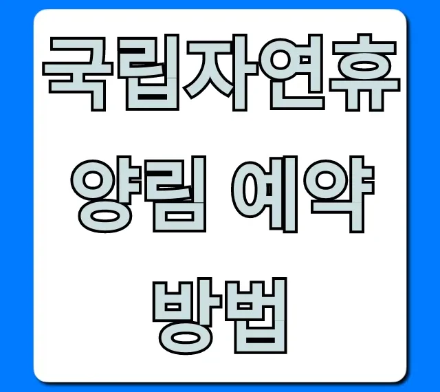국립자연휴양림 예약방법: 성공률 높이는 꿀팁 총정리