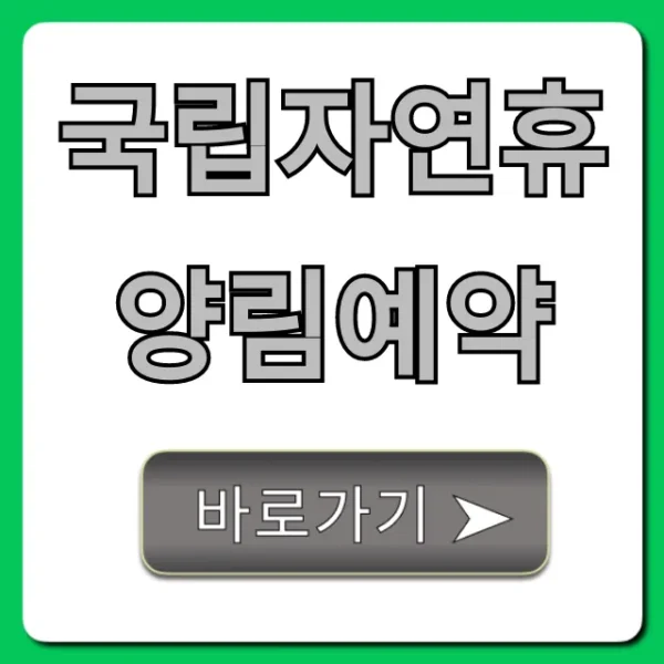 국립자연휴양림예약: 2024년 성공 꿀팁 대방출!