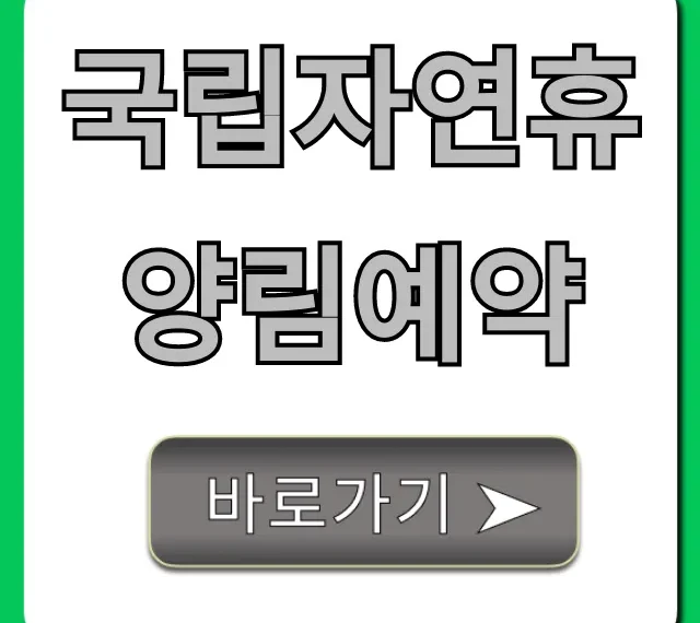 국립자연휴양림예약: 2024년 성공 꿀팁 대방출!
