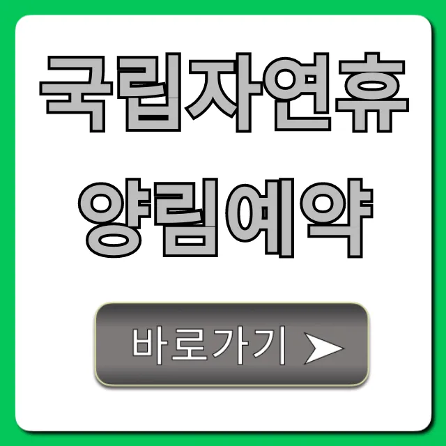 국립자연휴양림예약: 2024년 성공 꿀팁 대방출!