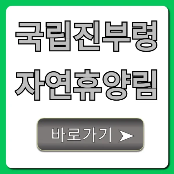 국립진부령자연휴양림 예약부터 시설 가격까지 완벽 가이드!
