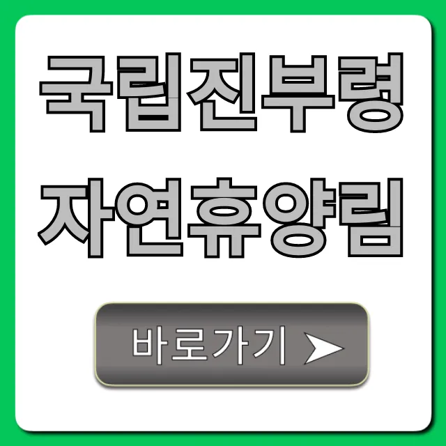 국립진부령자연휴양림 예약부터 시설 가격까지 완벽 가이드!