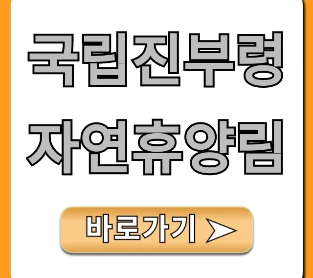 국립진부령자연휴양림 완벽 가이드 예약 꿀팁