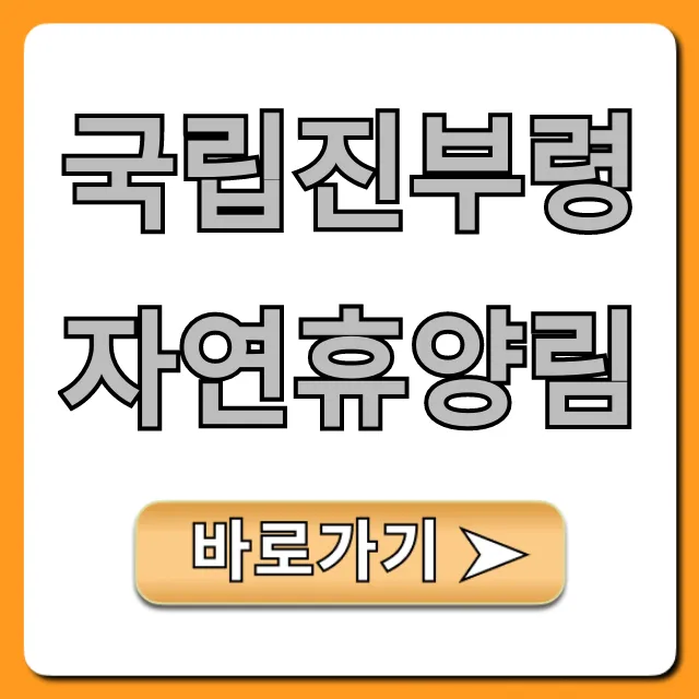 국립진부령자연휴양림 완벽 가이드 예약 꿀팁