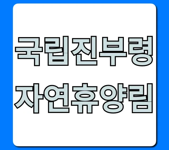 국립진부령자연휴양림 완벽 가이드: 예약부터 꿀팁까지