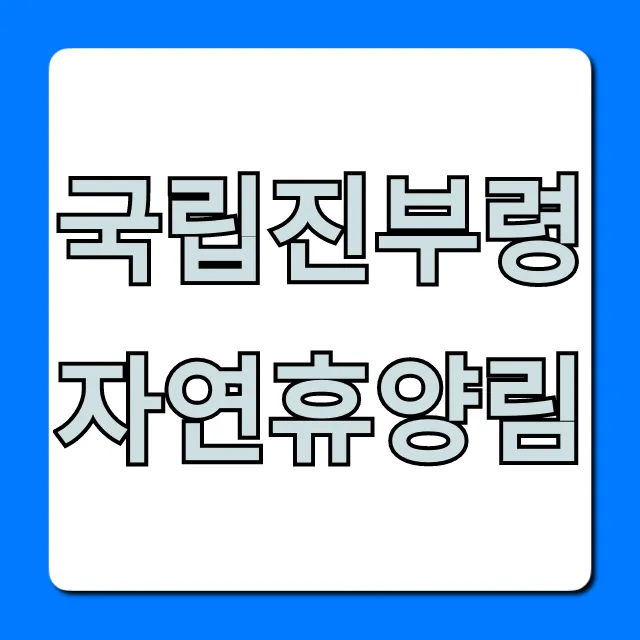 국립진부령자연휴양림 완벽 가이드: 예약부터 꿀팁까지