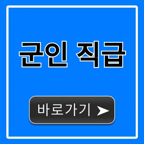 군인 직급 계급표, 월급 총정리!