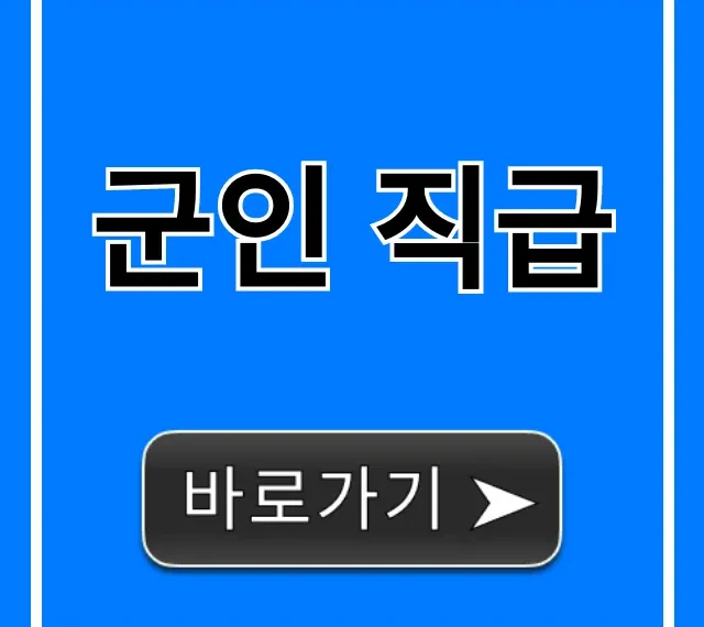 군인 직급 계급표, 월급 총정리!