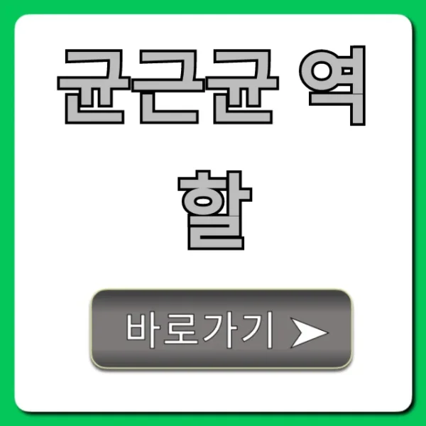 균근균 역할, 식물 성장에 미치는 영향 총정리