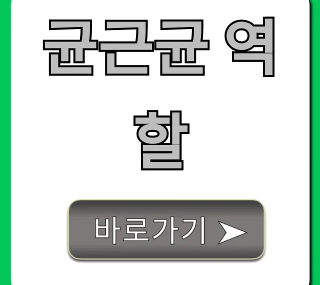균근균 역할, 식물 성장에 미치는 영향 총정리