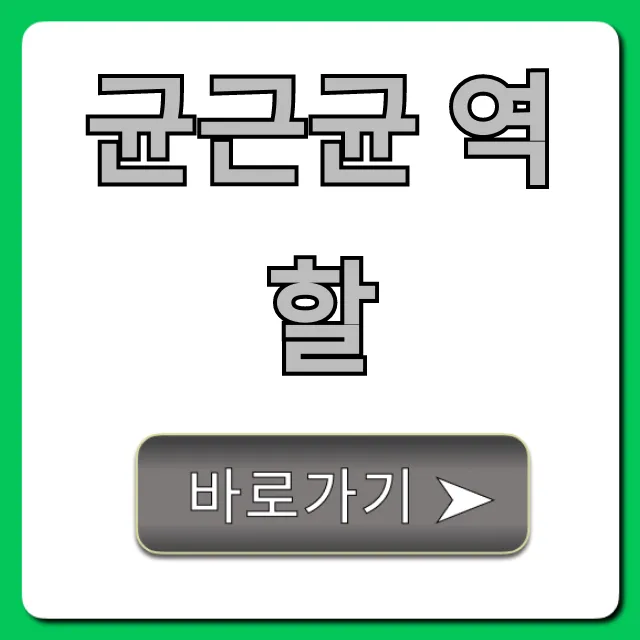 균근균 역할, 식물 성장에 미치는 영향 총정리