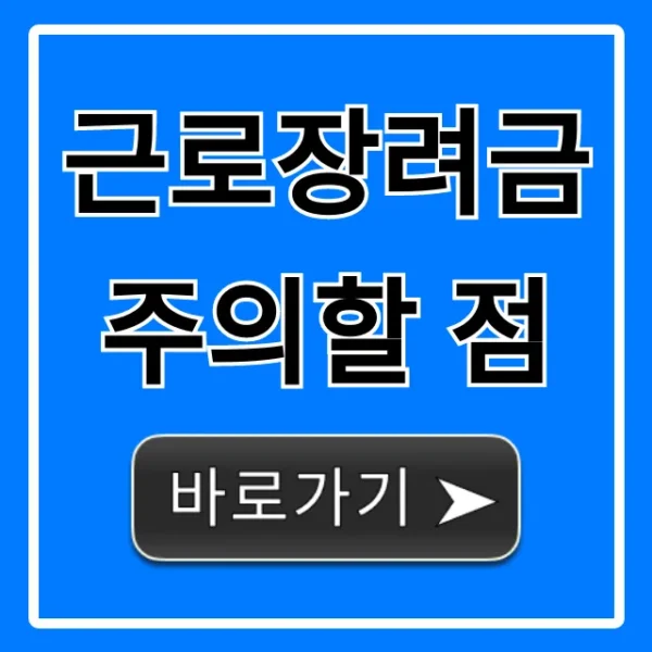 근로장려금 주의할 점, 환수 피하는 꿀팁 총정리