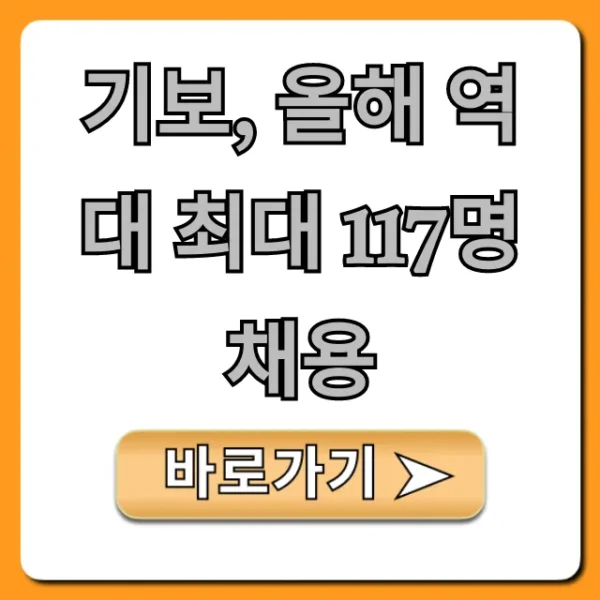 기보, 올해 역대 최대 117명 채용 완벽 가이드