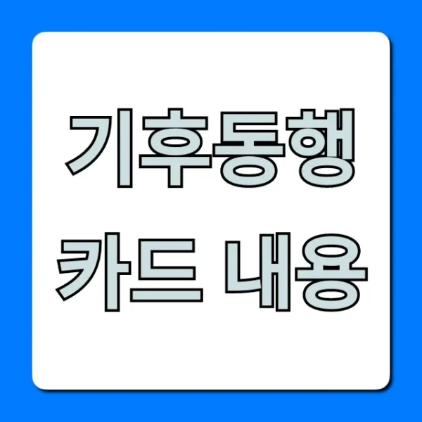 기후동행카드 내용, 놓치면 후회할 꿀팁 대방출