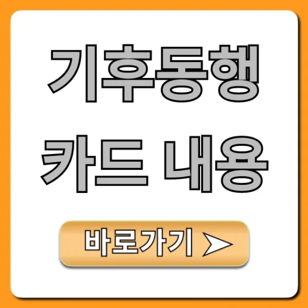 기후동행카드 내용 총정리 가격 신청 꿀팁