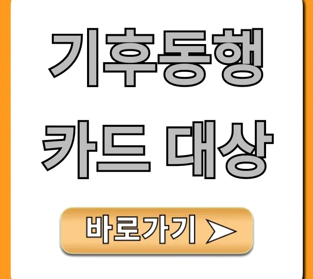 기후동행카드 대상, 누가 될까? 완벽 총정리