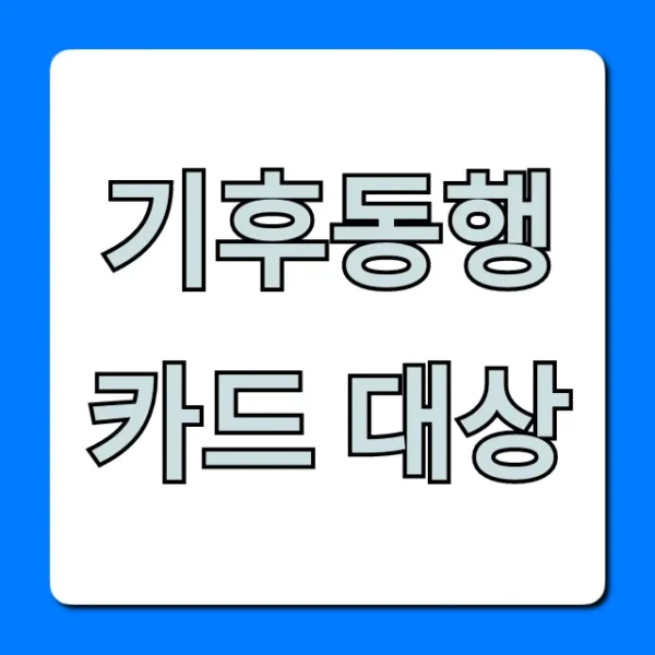 기후동행카드 대상, 자격 조건 완벽 가이드