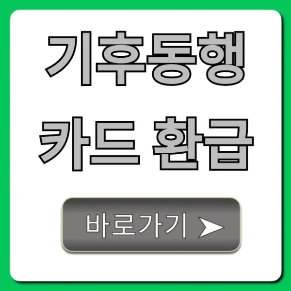 기후동행카드 환급: 신청 방법부터 조건까지 총정리