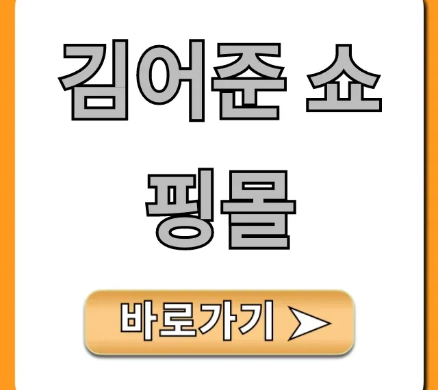 김어준 쇼핑몰 공식 굿즈 총정리